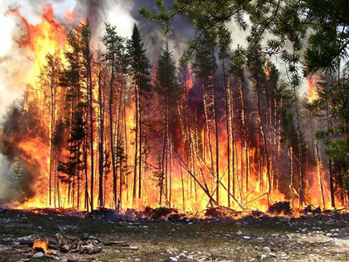 森林消防救援通信解决方案,森林防火应急通信，森林火灾消防救援应急通信